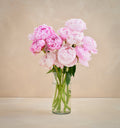 Bouquet of pink peonies in a clear vase on a beige background