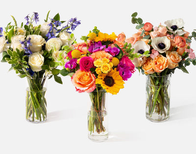 Seasonal Subscription