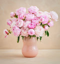 Pink peony bouquet in a matching vase on a beige background