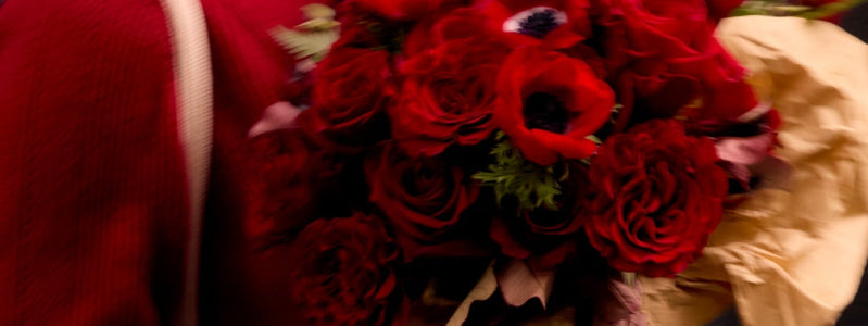 Why Red Roses Are Still the Classic Choice And How We’ve Made Them Better