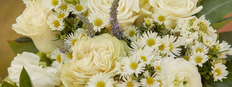 A Guide to April Birth Flowers