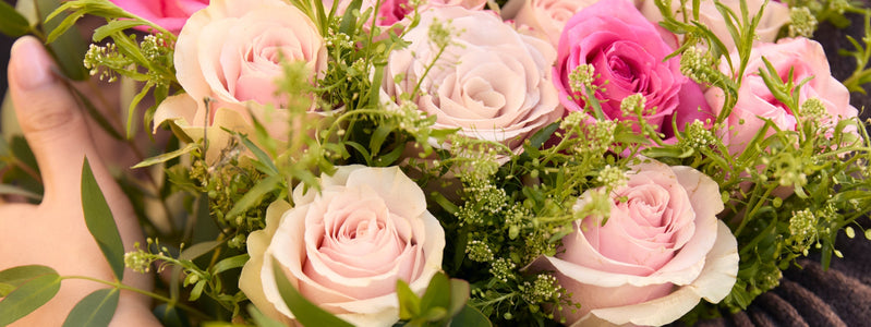 Top 5 Best Mother's Day Roses in 2026