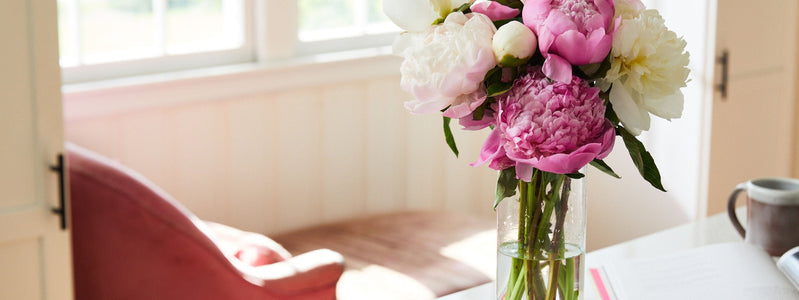 100 Condolence Messages to Show Your Sympathy and Support