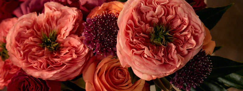10 Unique Fall Flowers to Elevate Your Seasonal Bouquets (That Aren’t Mums)