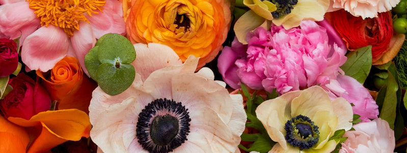 Close up of flower bouquet containing May birth flowers