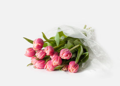 Why Tulips are the Perfect Valentine’s Day Flower