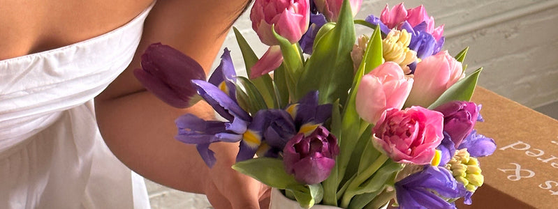 Close up of spring tulips available for next day delivery