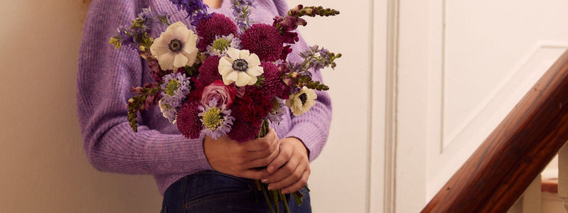 How to Care For Mums: Mums Care 101