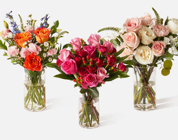 Classic Subscription