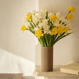 Double The Daffodil Fields