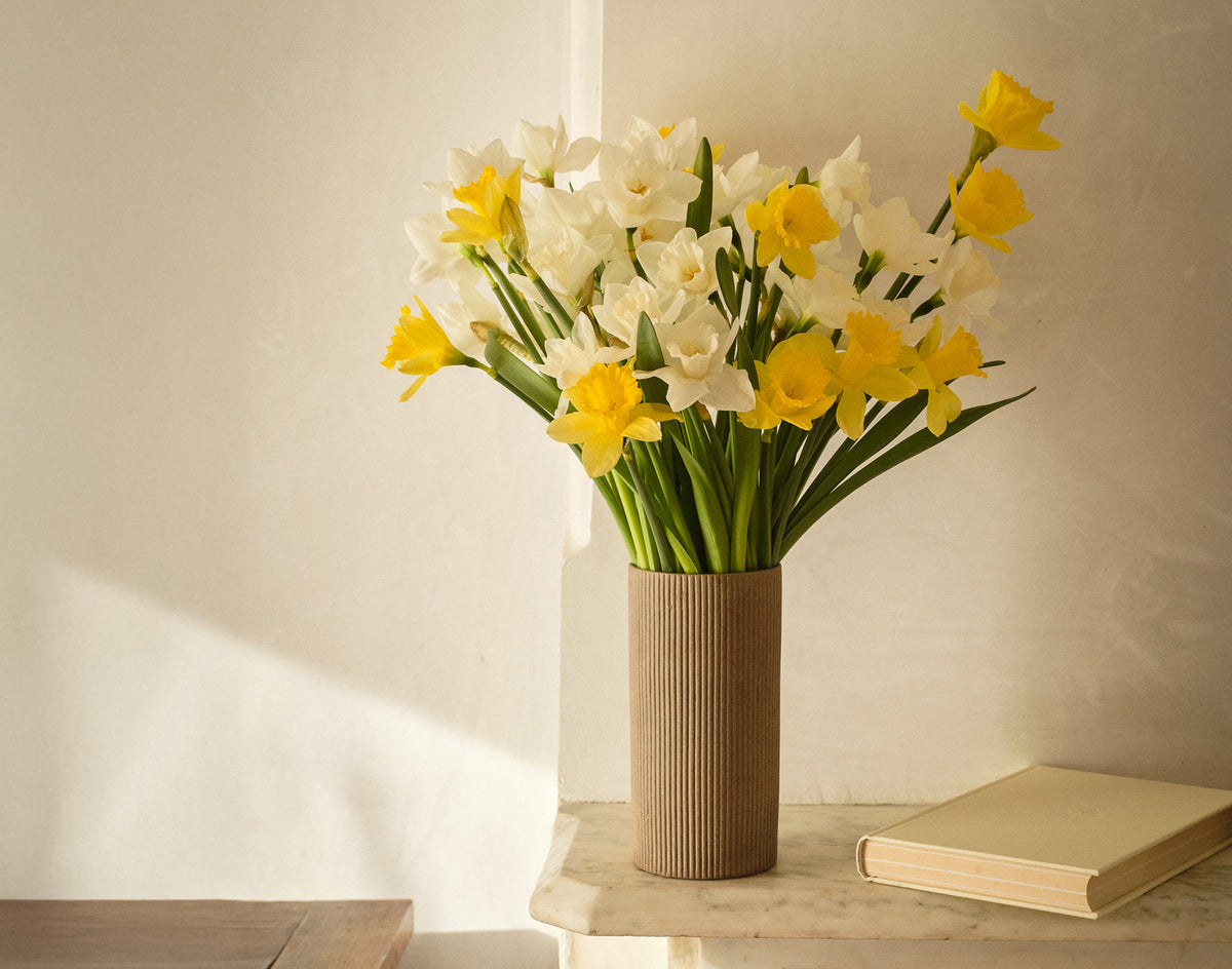 Double The Daffodil Fields