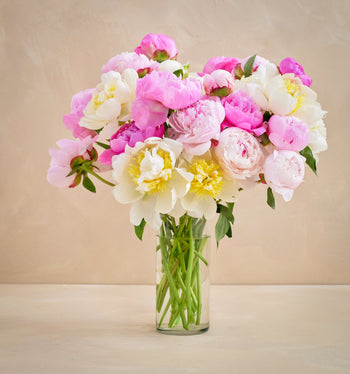 Bouquet of pink, white, and yellow flowers in a clear vase on a beige background