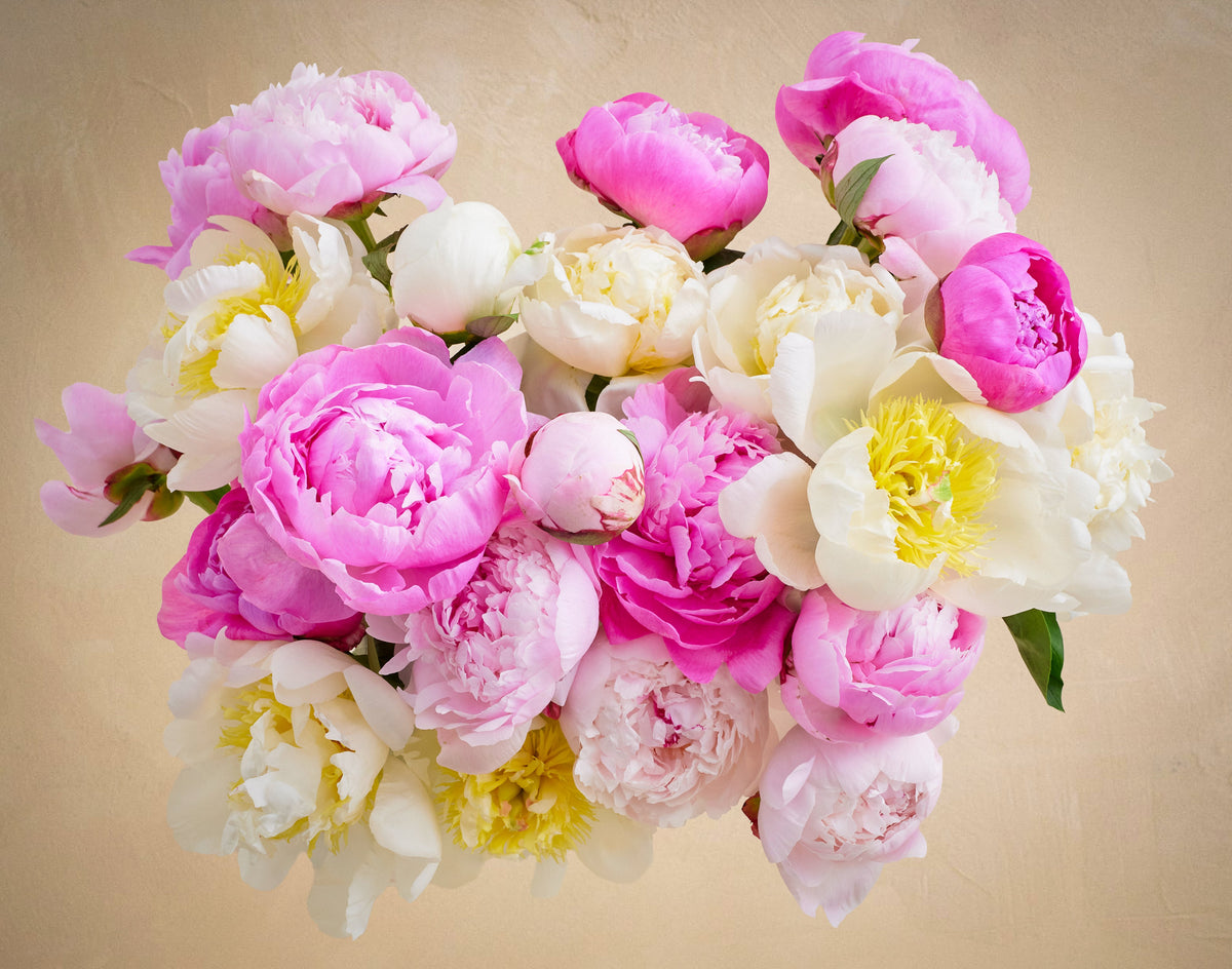Heart-shaped arrangement of pink, white, and yellow flowers on a beige background