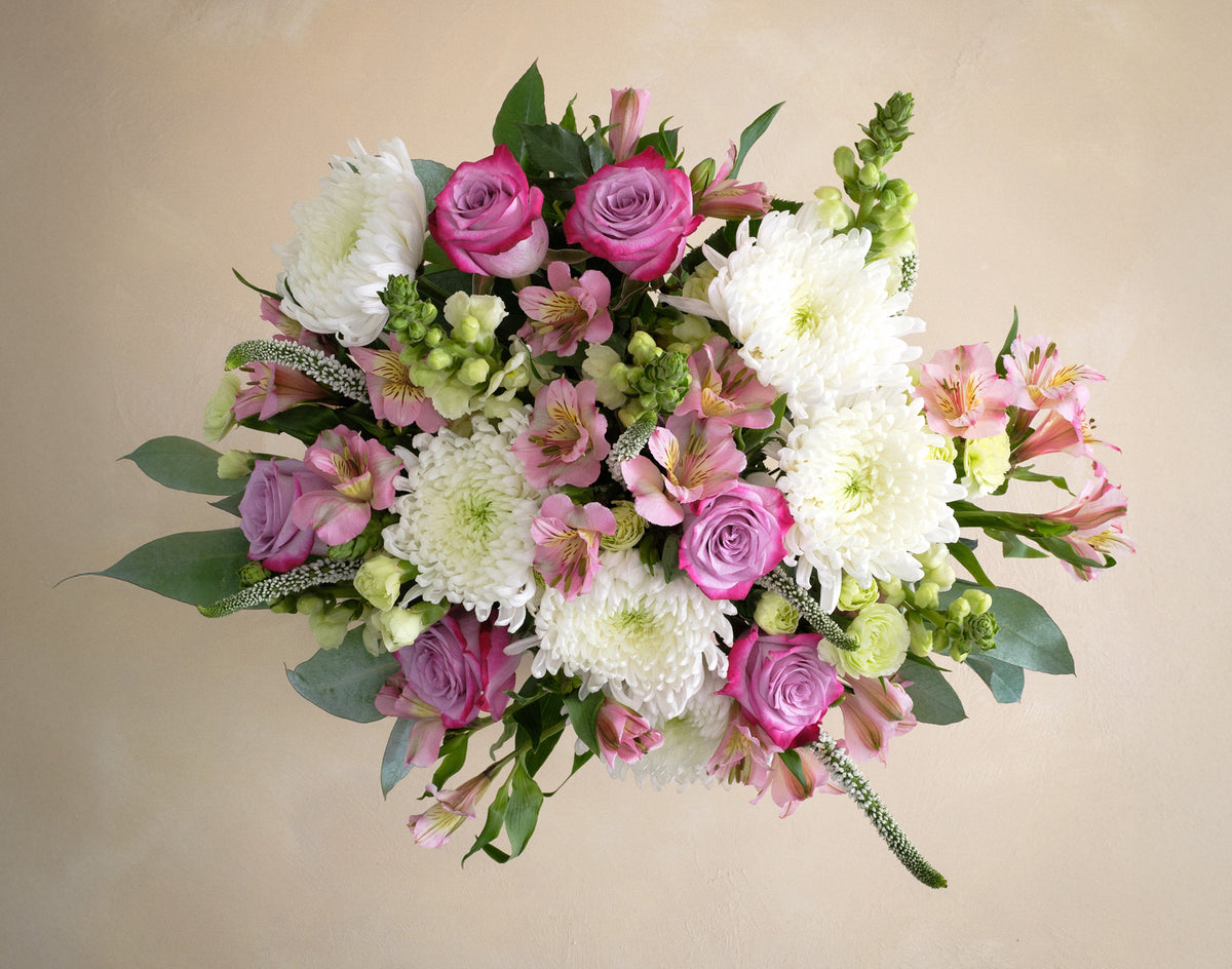 Double The Lavender Crush