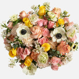 Double The Pink Lady