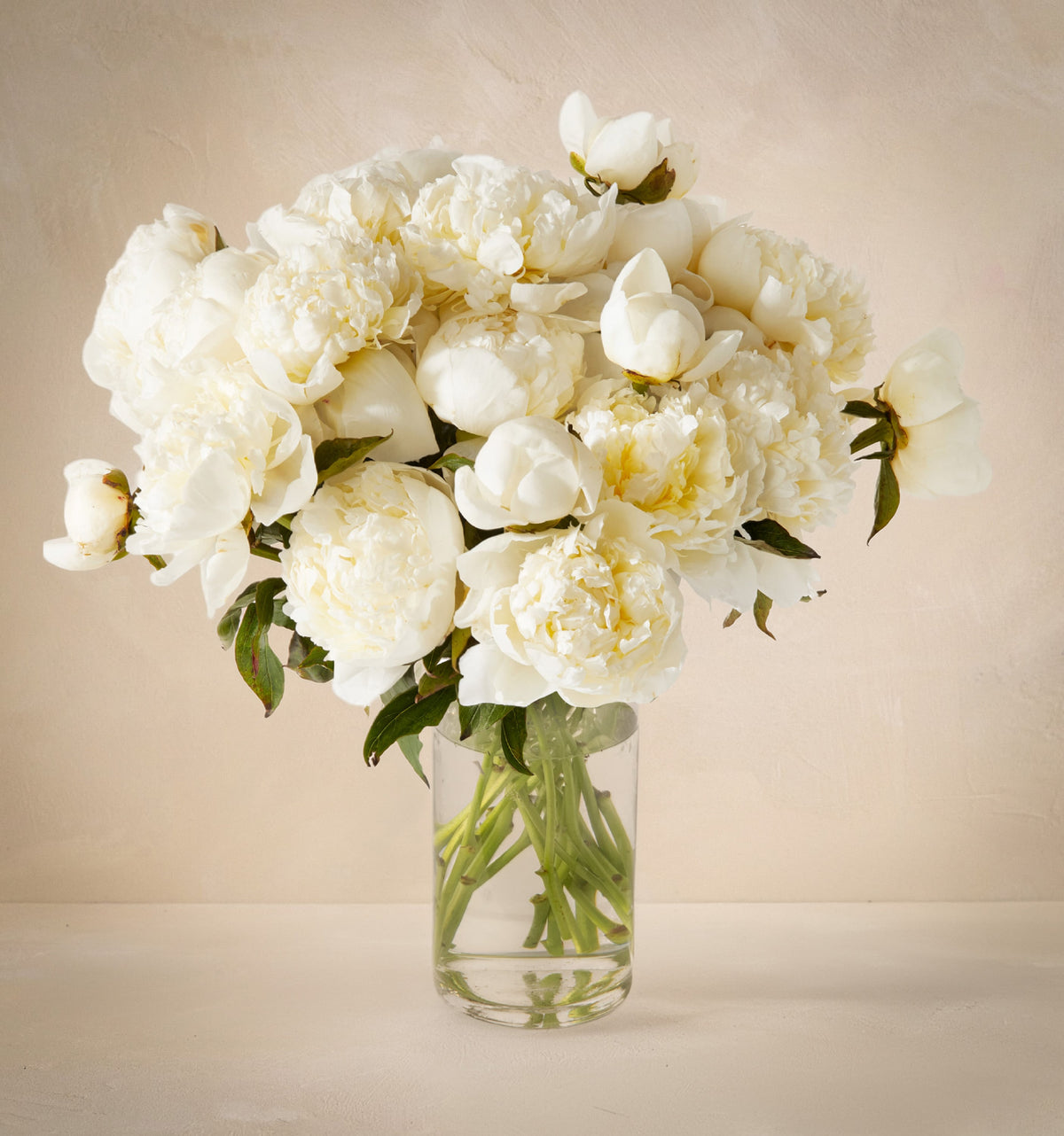 Bouquet of white flowers in a clear vase on a beige background