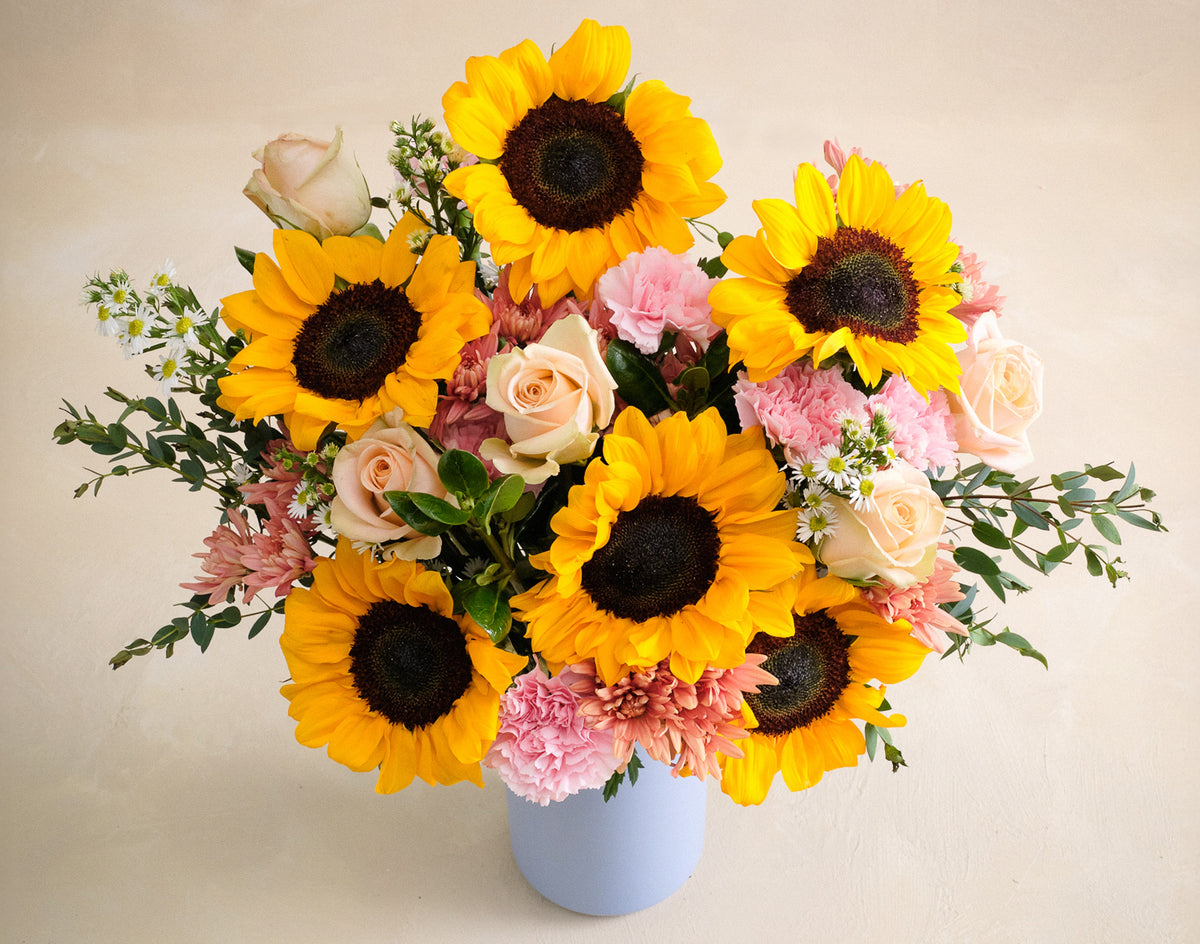 Double The Sunflower Serenade