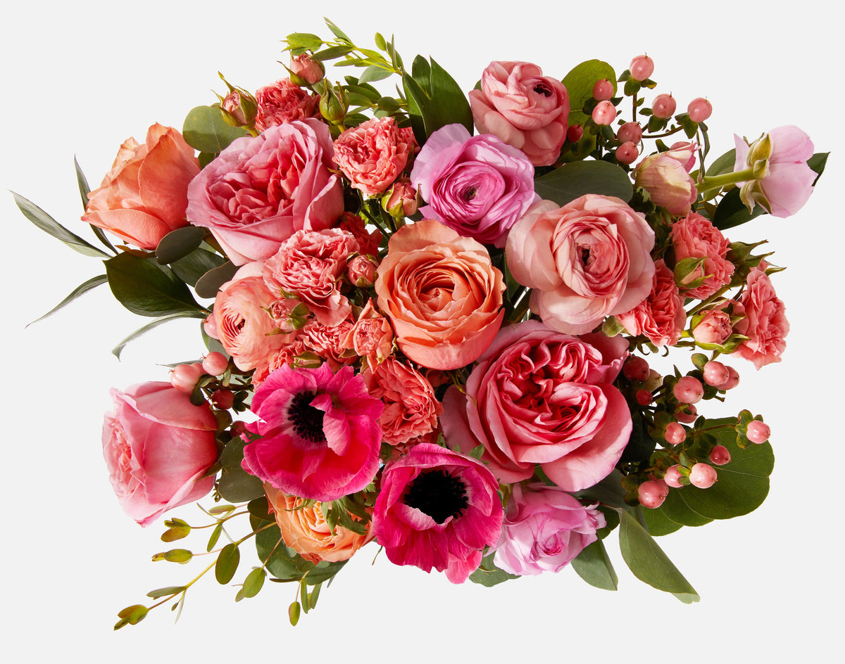 Bouquet of pink and red flowers with green leaves on a white background