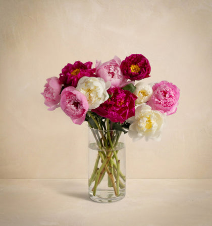 The Grower's Choice Peony