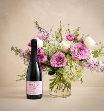 The Spring Refresher