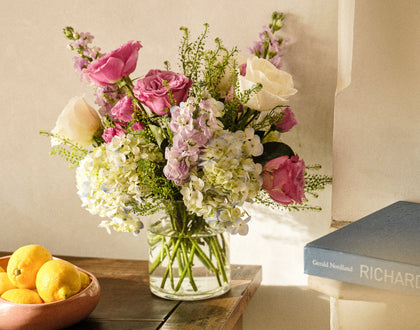 The Spring Refresher