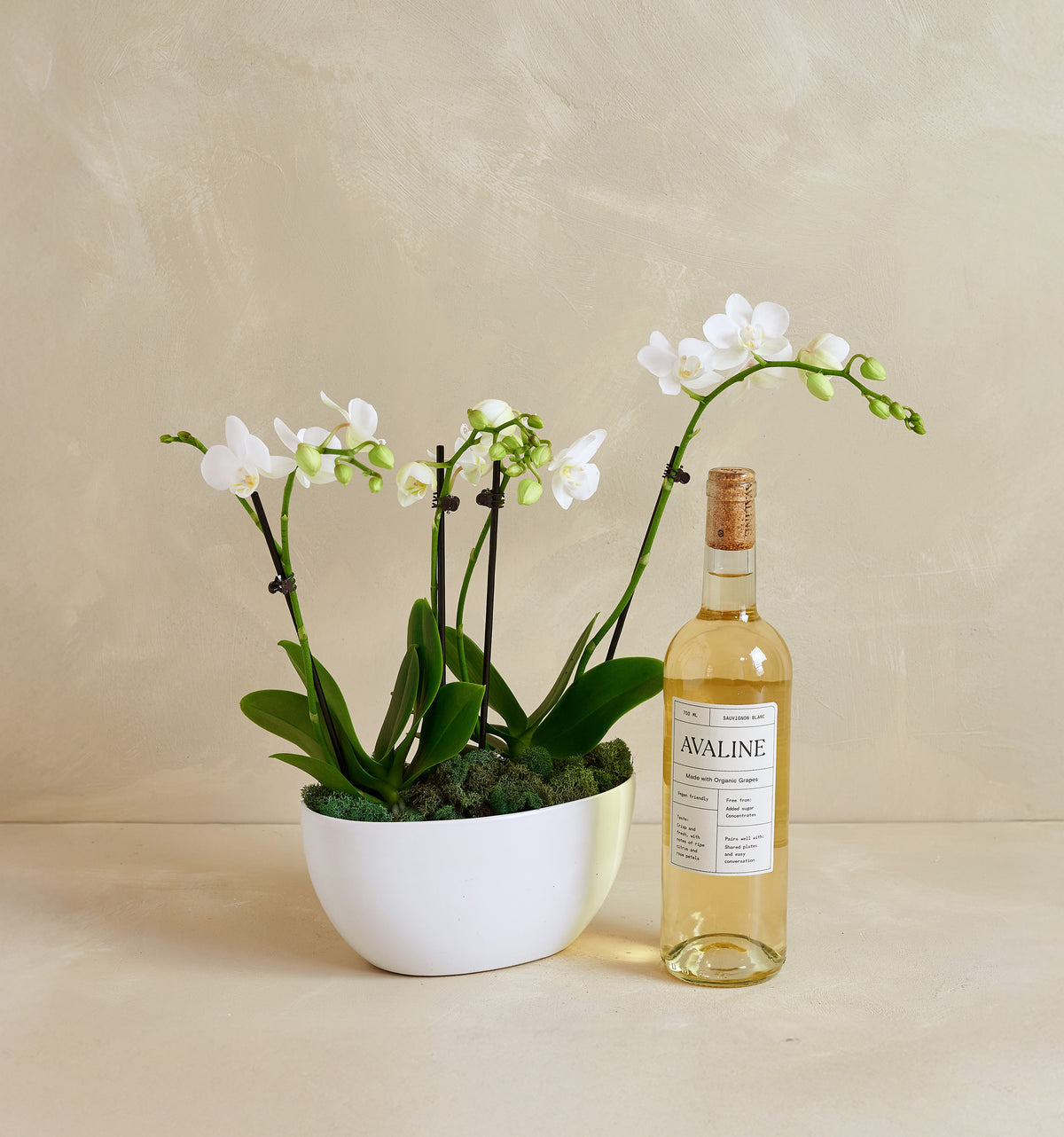 Potted orchid plant next to a bottle of Avaline wine on a beige background