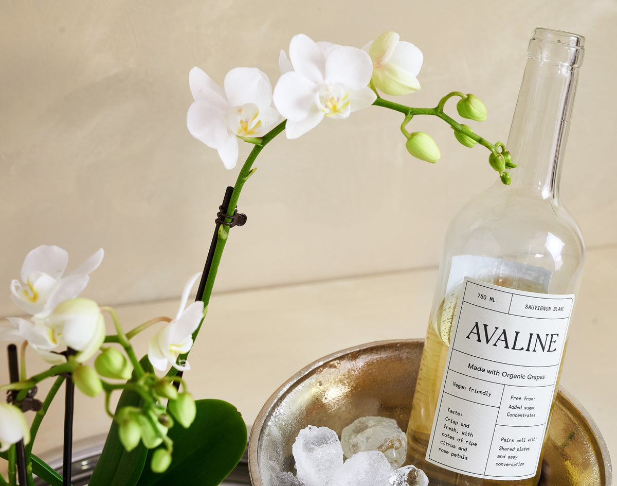 White orchid flowers next to a bottle labeled 'Avaline' on a neutral background