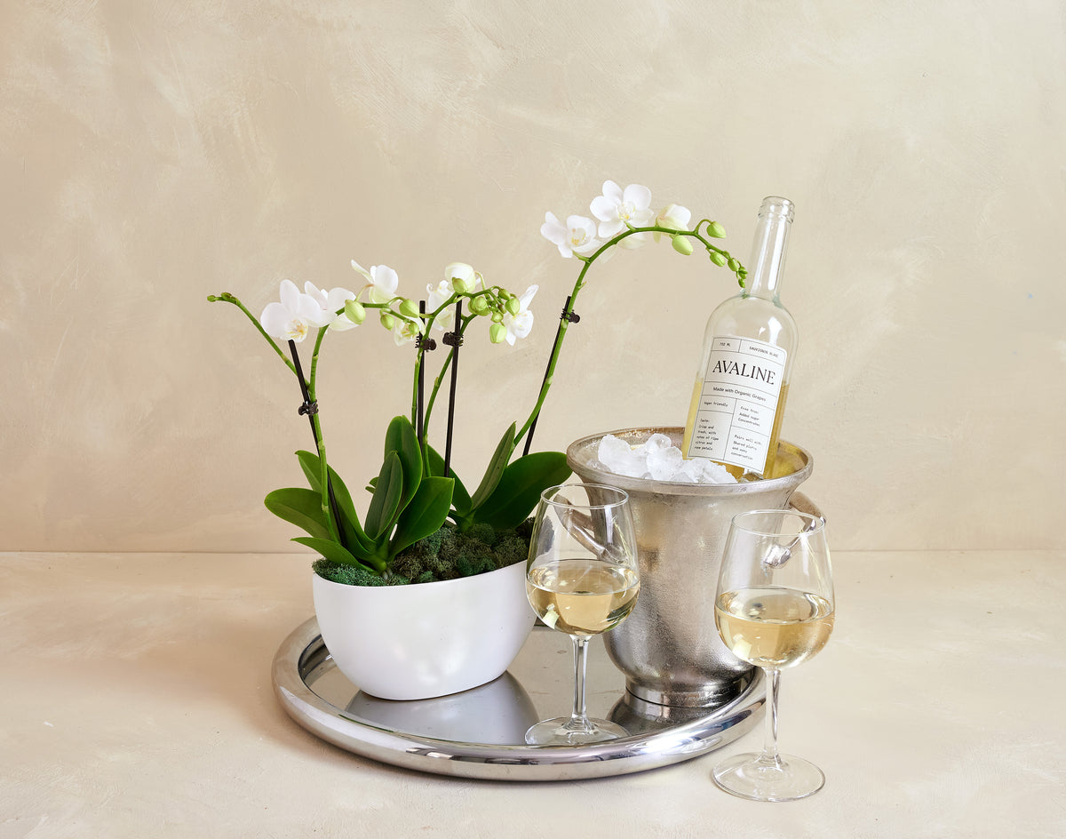 Tray with a bottle of wine, two glasses, and a potted plant on a beige background