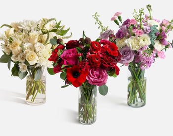 Seasonal Subscription