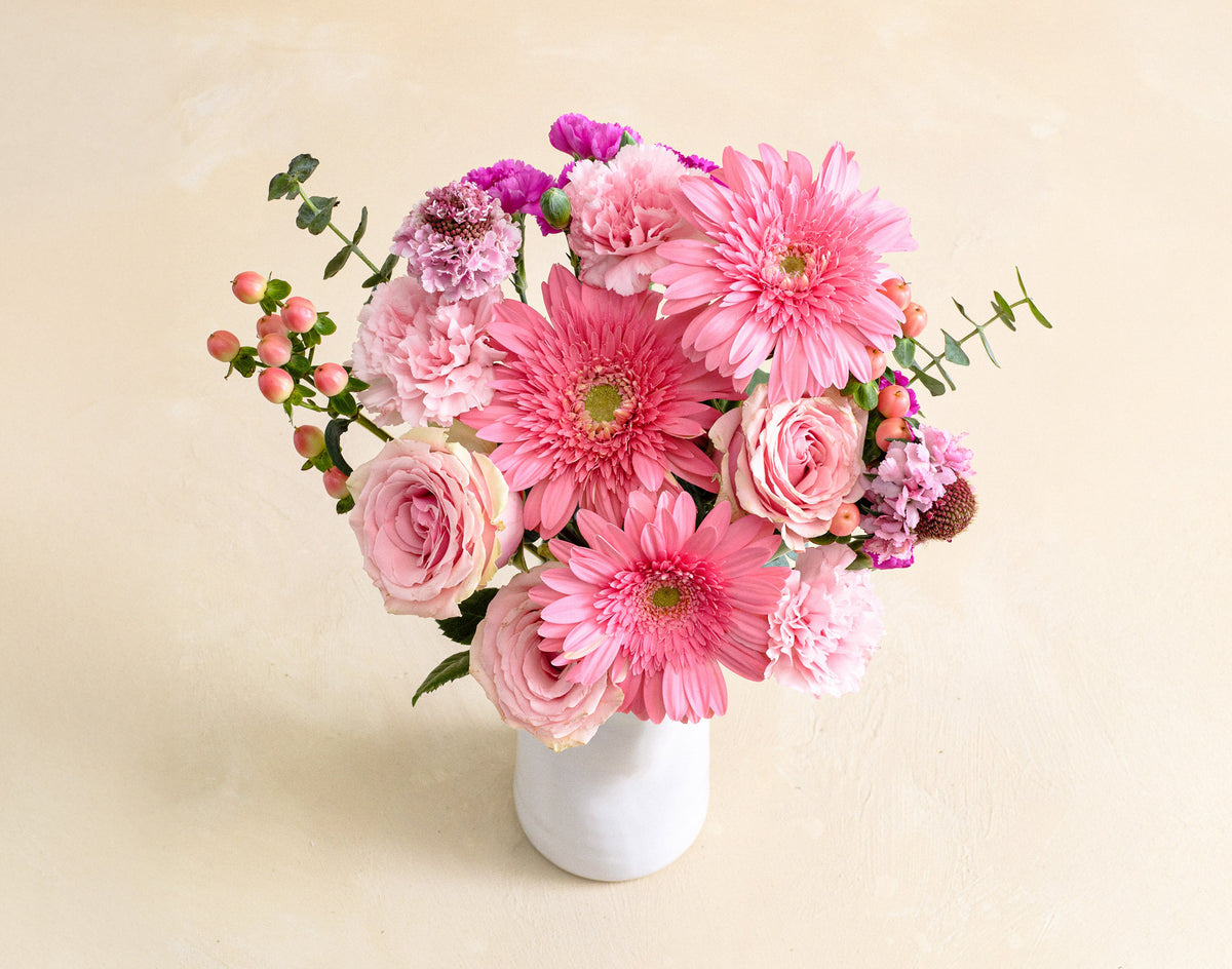 The Strawberry Spring