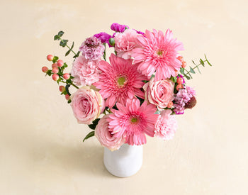 The Strawberry Spring