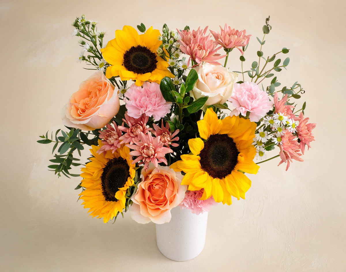 The Sunflower Serenade