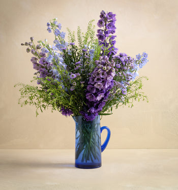 The Sunshower with Moroccan Glass Pitcher