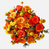 Triple the Firecracker