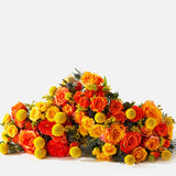 Triple the Firecracker