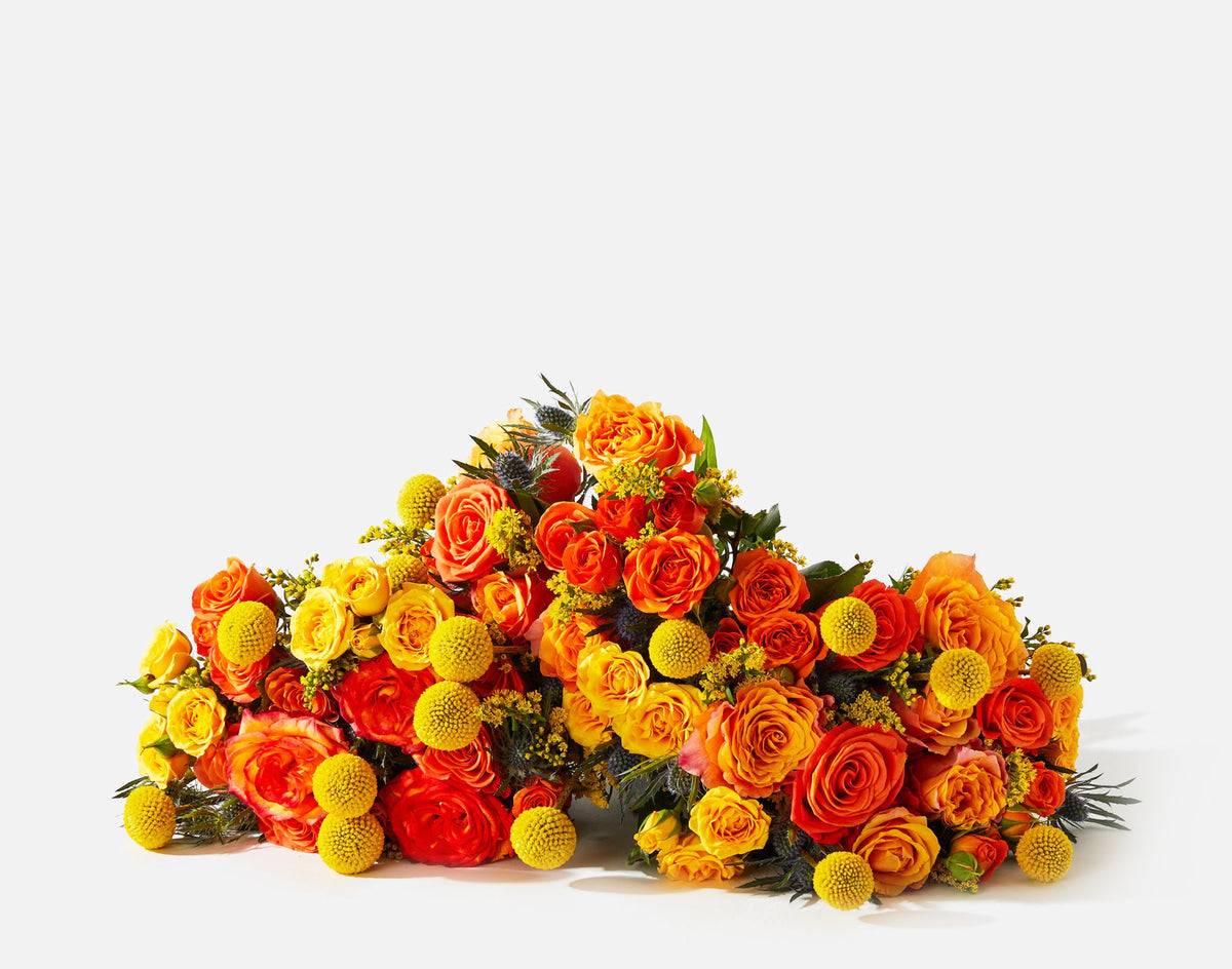 Triple the Firecracker