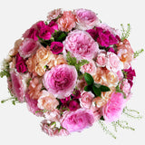 Triple The Pretty In Pink