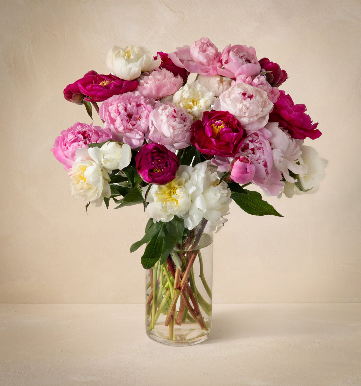 Triple the Grower's Choice Peony