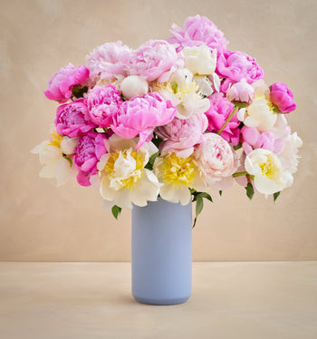 Bouquet of pink, white, and yellow flowers in a light blue vase on a beige background