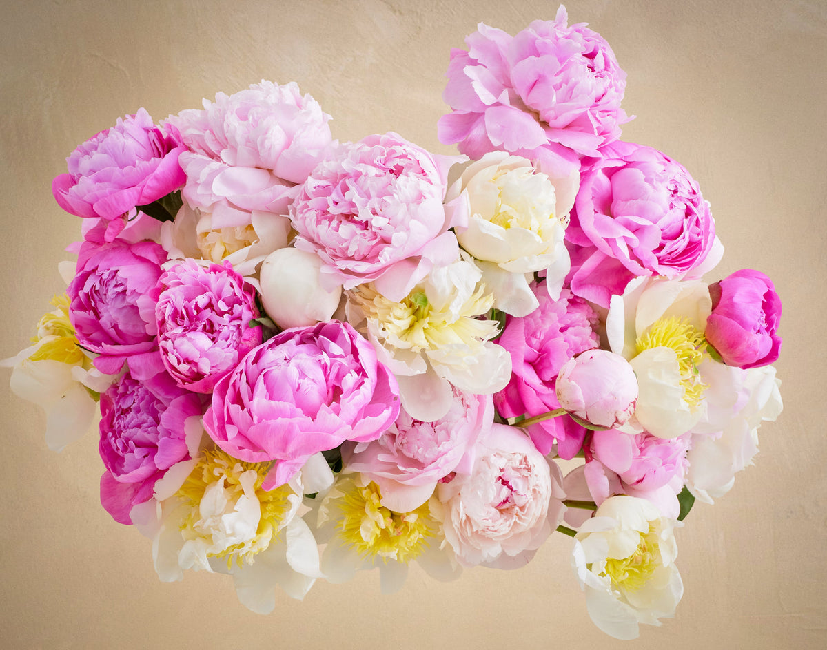 Bouquet of pink, white, and yellow flowers on a beige background